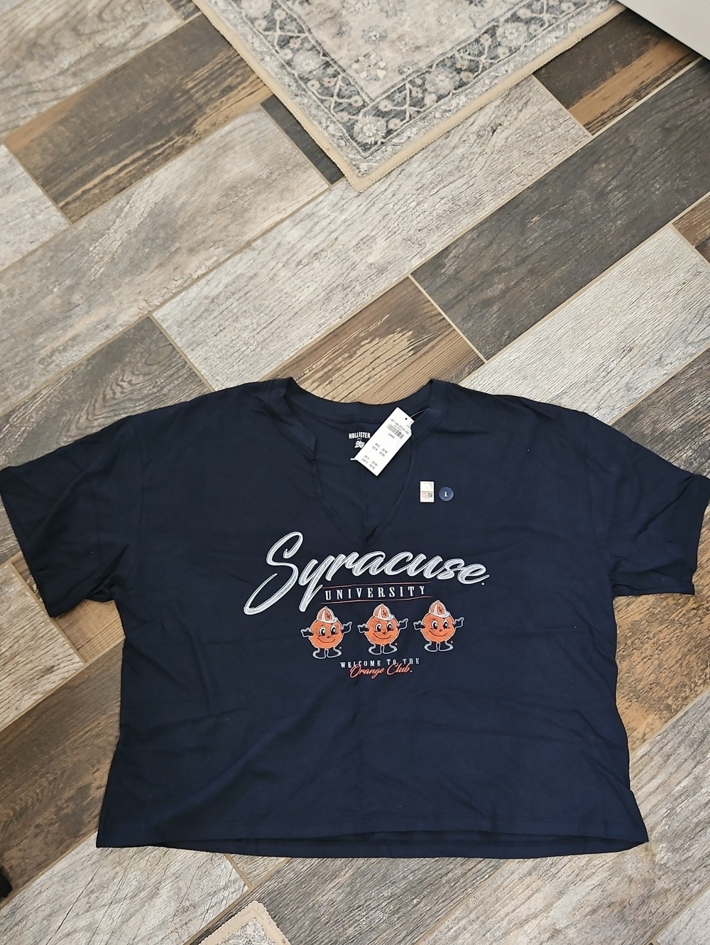 Hollister Navy Syracuse University Graphic Tee with Orange Mascots